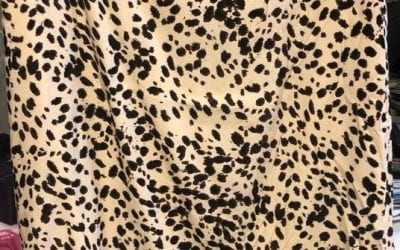 Micha Leopard Print Skirt